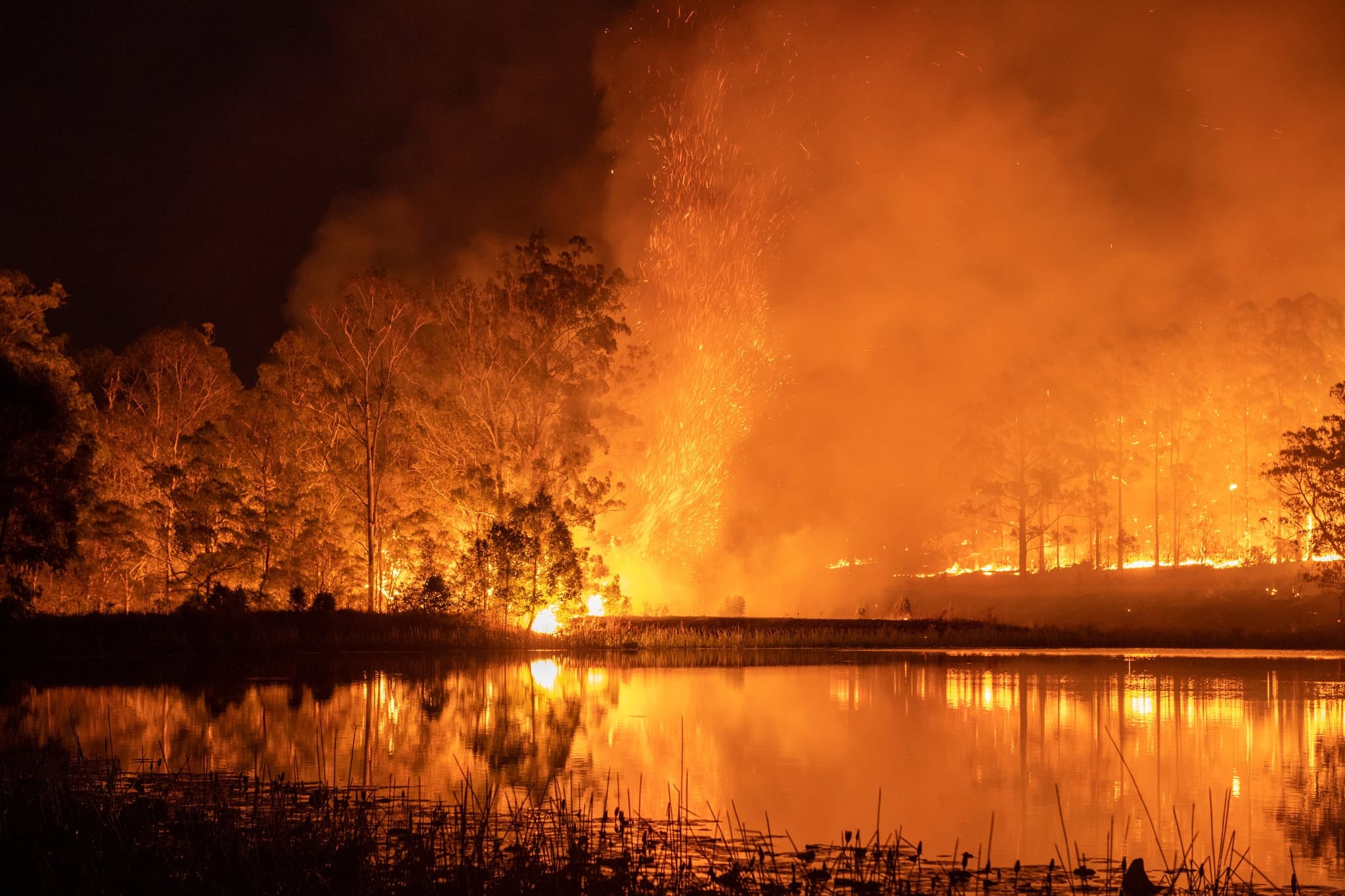 How You Can Help The Australian Bushfire Emergency & Support Effort