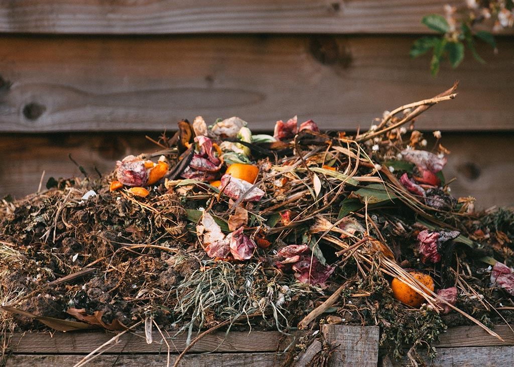 What Can Go In Your Compost Bin? Strategies to help your yard and maintain away the pests