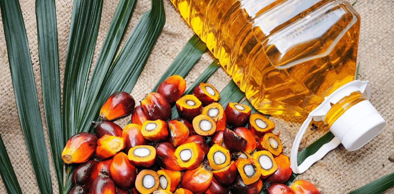 Actuality or Fiction? A Take a look at RSPO Certification