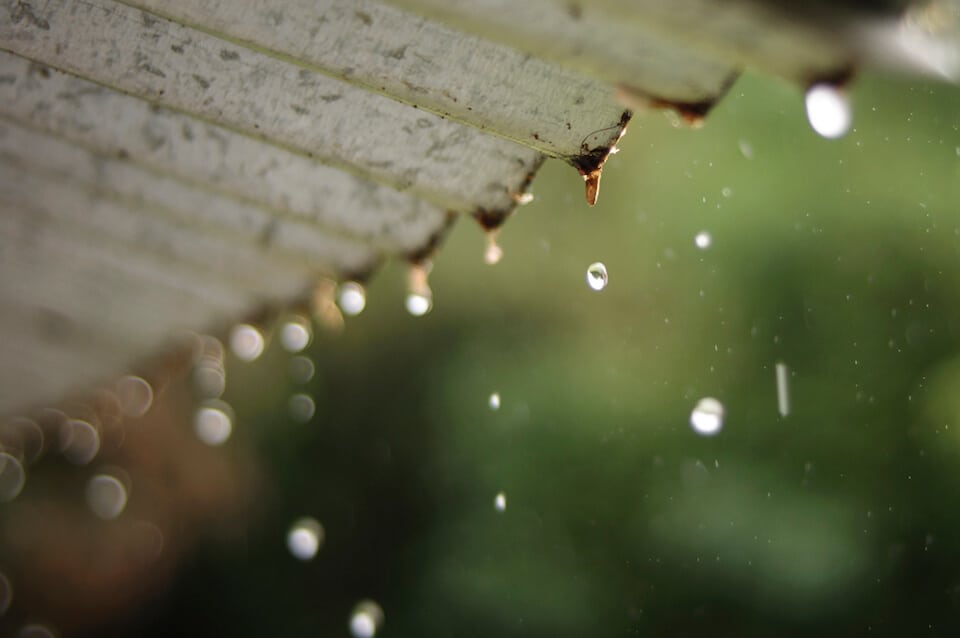 Make a DIY Rainwater Harvesting System