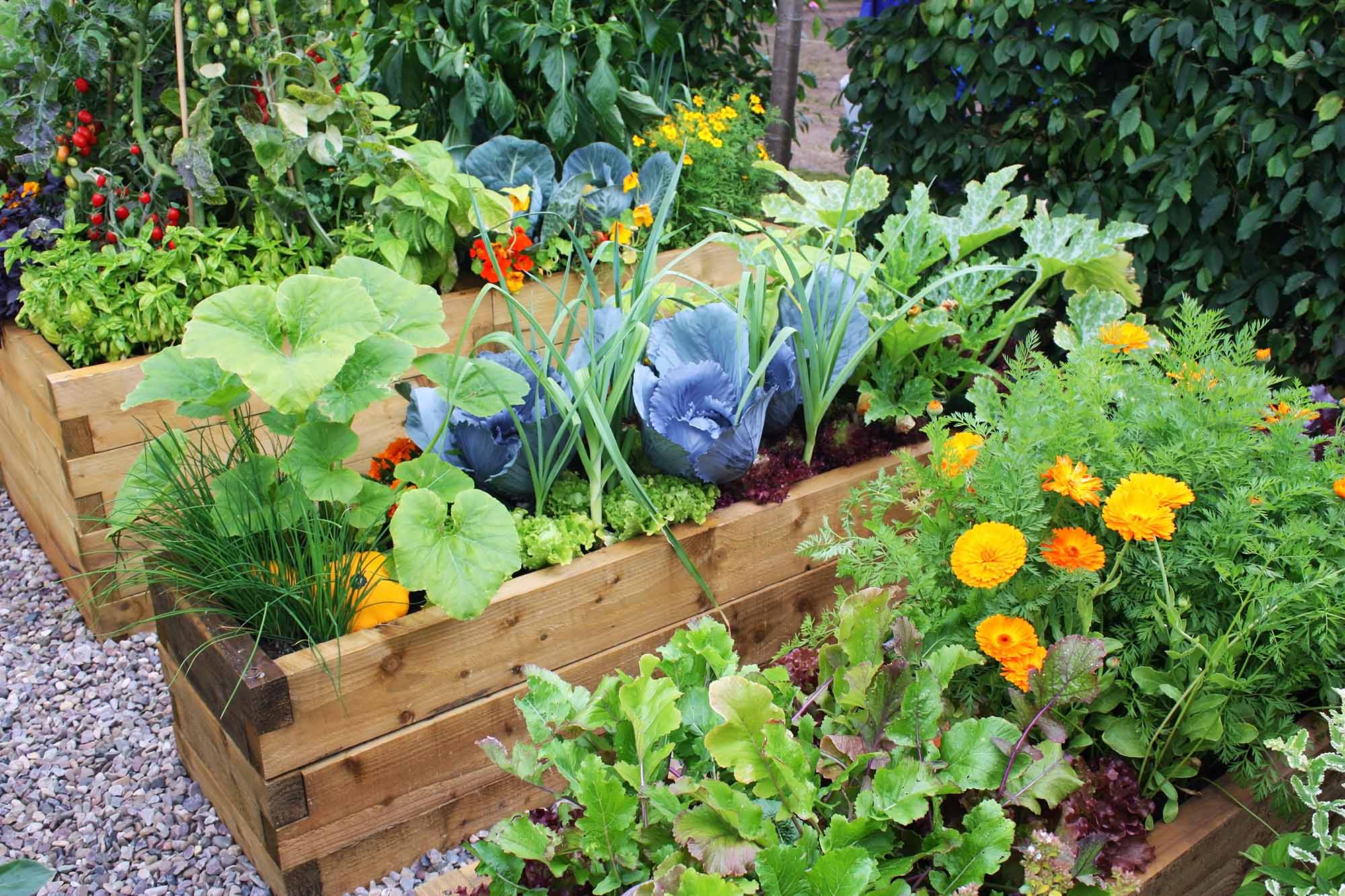 4 Simple Recommendations For Sustainable Gardening In accordance with The Specialists